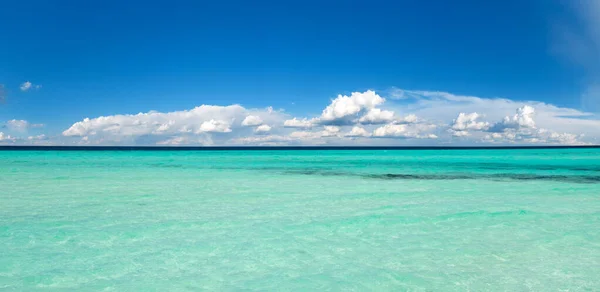 Nube Esponjosa Panorámica Cielo Azul Cielo Con Nube Día Soleado —  Fotos de Stock