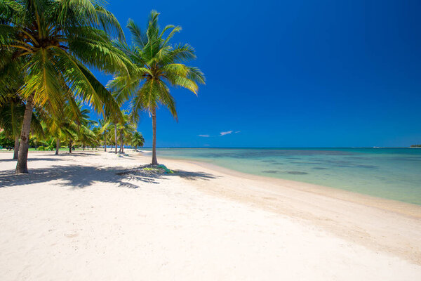 Beautiful tropical Maldives island with beach. 