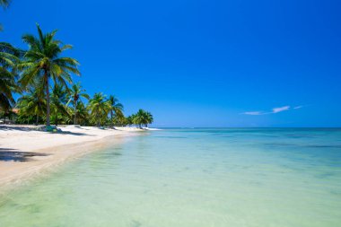 Güzel sahil ve tropikal deniz