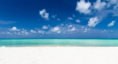 Maldivler 'deki tropik plaj