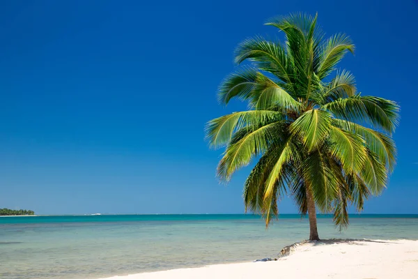 Playa Tropical Sri Lanka Vacaciones Verano Concepto Vacaciones Para Turismo — Foto de Stock