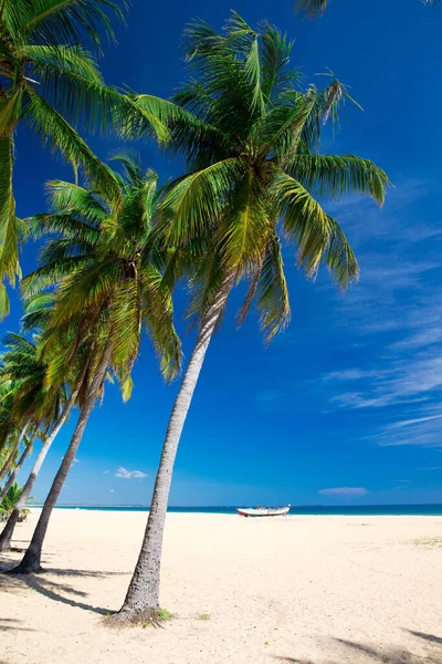 Tropisk Strand Sri Lanka Sommerferie Feriebegrep Turisme – stockfoto