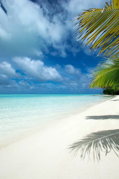 Mooi Strand Tropische Zee Reislandschap — Stockfoto