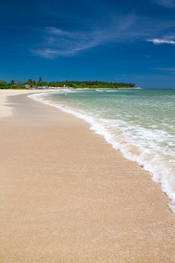 Güzel sahil ve tropikal deniz