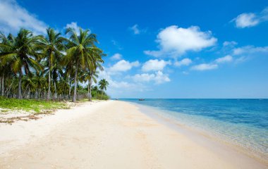 Güzel sahil ve tropikal deniz