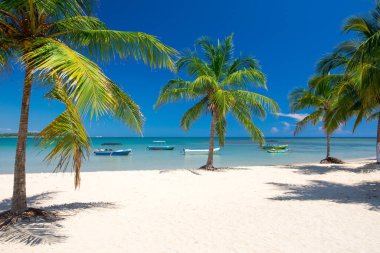 Sri Lanka 'da tropik bir sahil. Turizm için yaz tatili ve tatil kavramı.