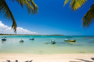 Sri Lanka 'da tropik bir sahil. Turizm için yaz tatili ve tatil kavramı.