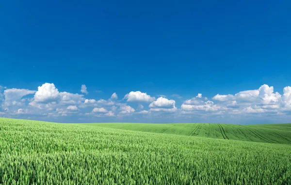 Panoramafluffigt Moln Den Blå Himlen Himmel Med Moln Solig Dag — Stockfoto