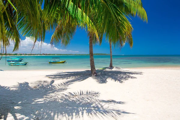 Playa Tropical Sri Lanka Vacaciones Verano Concepto Vacaciones Para Turismo — Foto de Stock