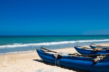 Sri Lanka 'da tropik bir sahil. Turizm için yaz tatili ve tatil kavramı.