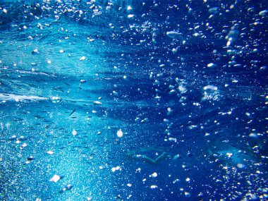 Kopya alanı olan sakin sualtı sahnesi