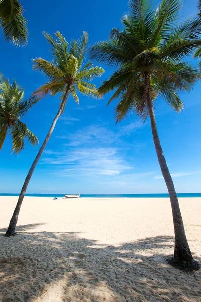 Tropisk Strand Sri Lanka Sommerferie Feriebegrep Turisme – stockfoto