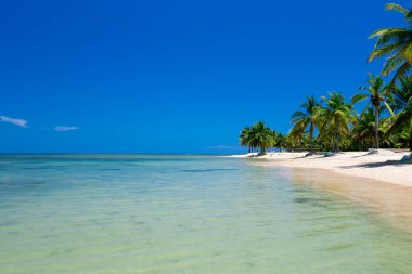 Sri Lanka 'da tropik bir sahil. Turizm için yaz tatili ve tatil kavramı.