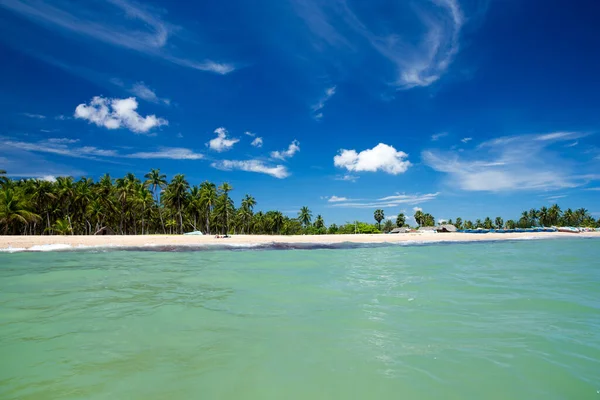 Sri Lanka 'da tropik bir sahil. Turizm için yaz tatili ve tatil kavramı.