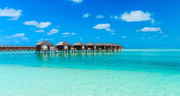 Τροπική Παραλία Στις Μαλδίβες Λίγους Φοίνικες Και Μπλε Lagoo — Φωτογραφία Αρχείου