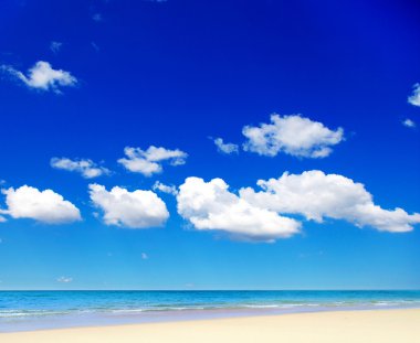 plaj ve tropikal deniz