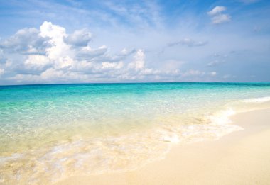 plaj ve tropikal deniz