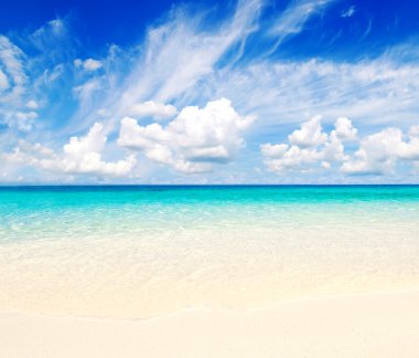 plaj ve tropikal deniz