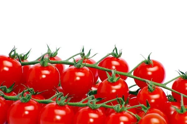 Tomates cereja — Fotografia de Stock