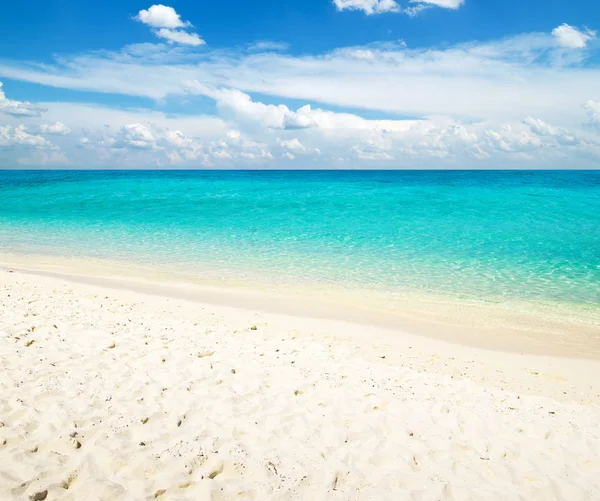 Tropiska havet — Stockfoto