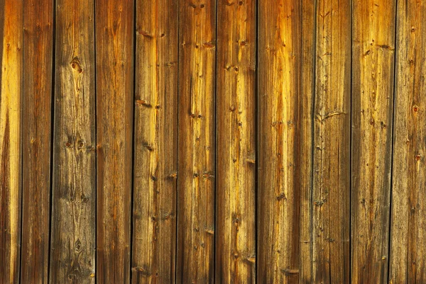 Wood texture — Stock Photo, Image