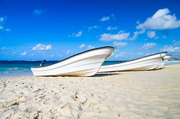 Tropical beach — Stock Photo, Image