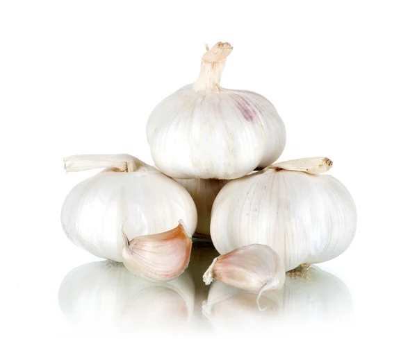 Ripe Garlic — Stock Photo, Image