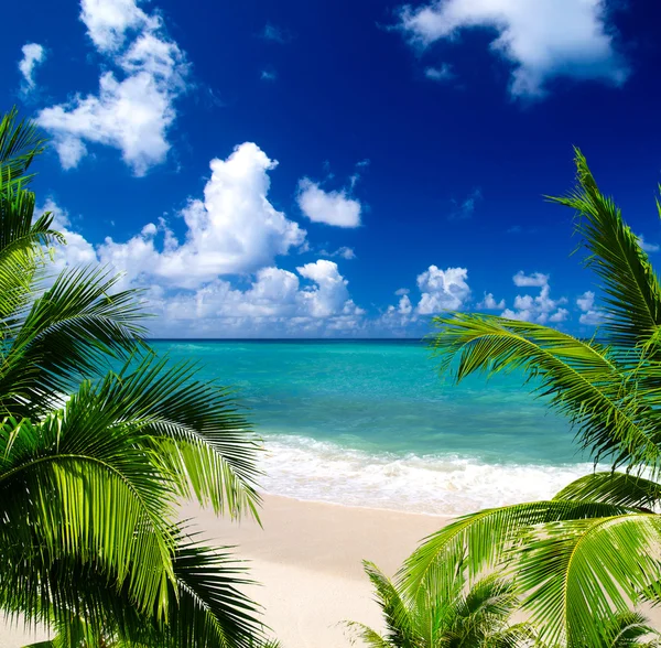 Beach and tropical sea — Stock Photo, Image