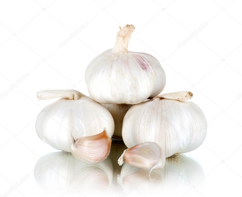 Ripe Garlic