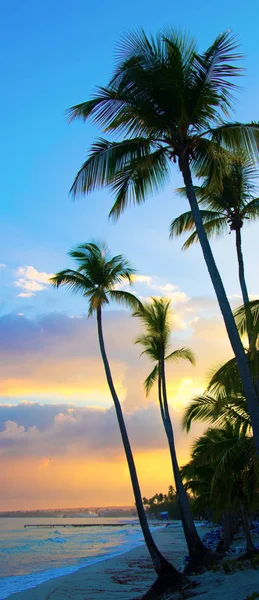 Denizin üstünde gün batımı