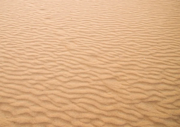 Desierto dorado —  Fotos de Stock