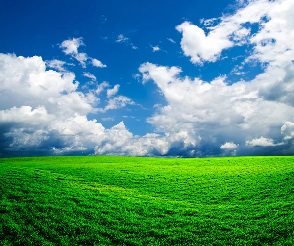 Campo e céu tempestuoso — Fotografia de Stock