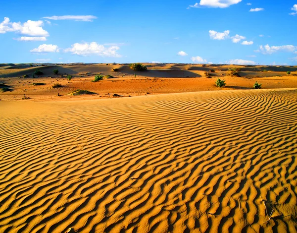 Paisagem do deserto — Fotografia de Stock