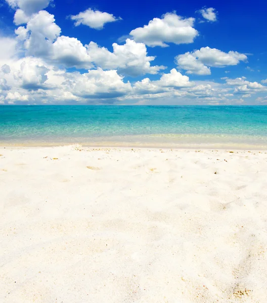 Strand en tropische zee — Stockfoto