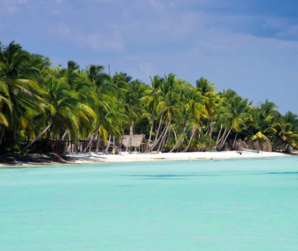 Tropisk strand — Stockfoto