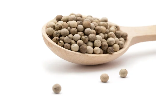 White peppercorns — Stock Photo, Image