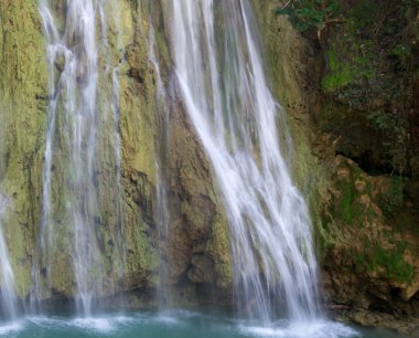 Yeşil ormanda şelale