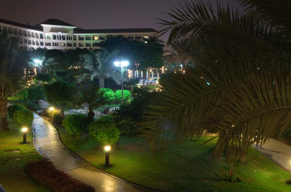 Jardín por la noche — Foto de Stock