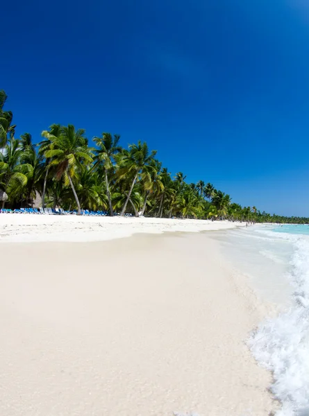 Tropiska havet — Stockfoto