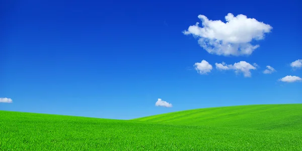 Campo e cielo blu — Foto Stock