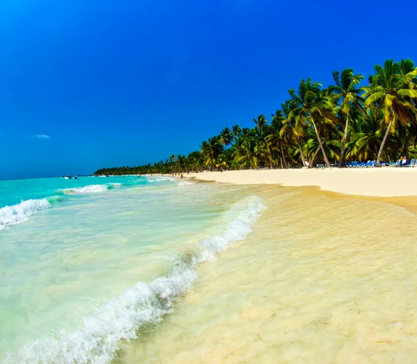 Tropiska havet — Stockfoto