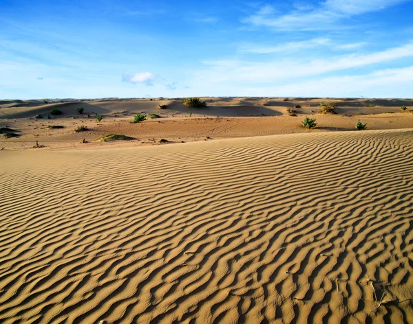 Paesaggio desertico — Foto Stock