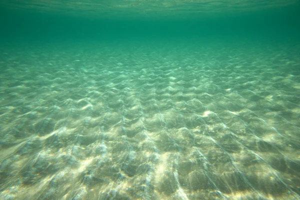 Tranquilo bajo el agua — Foto de Stock