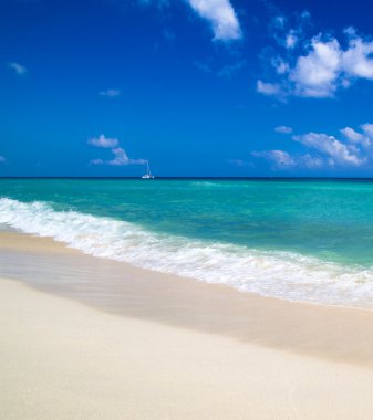 plaj ve tropikal deniz