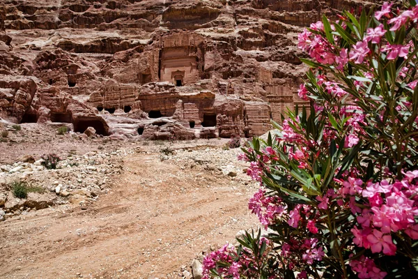 Petra Йорданії — стокове фото