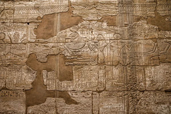 Hieroglyphs on wall — Stock Photo, Image