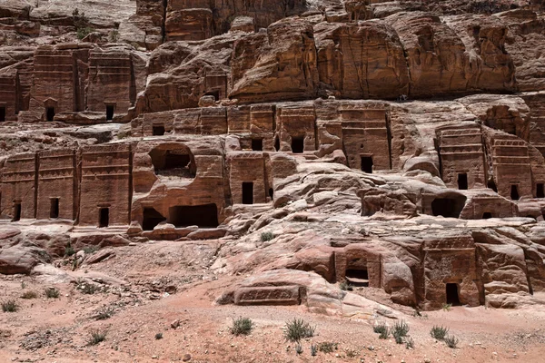 หินใน Petra — ภาพถ่ายสต็อก