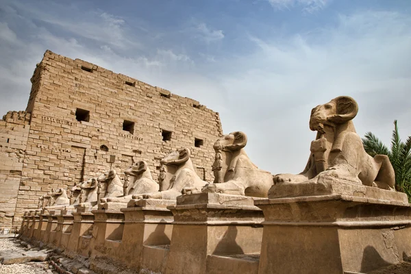 Świątynia Ramesseum, Egipt. — Zdjęcie stockowe