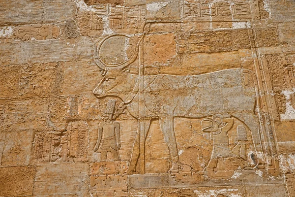 Hieroglyphs on wall — Stock Photo, Image