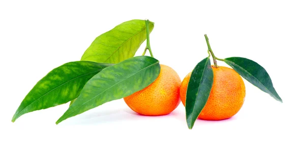 Tangerine fruits — Stock Photo, Image